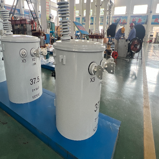Rating, Voltage and Vector Group Envelope for Oil-Immersed Transformers